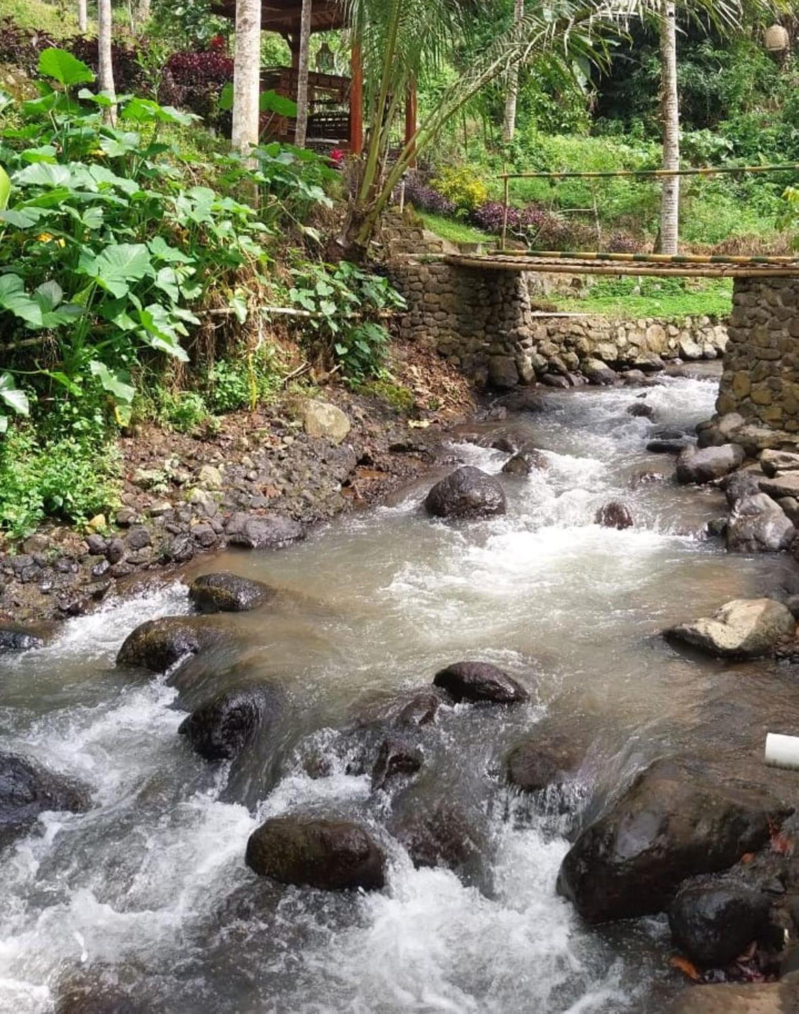 Villa Kampoeng Joglo Ijen Banyuwangi  Exterior foto