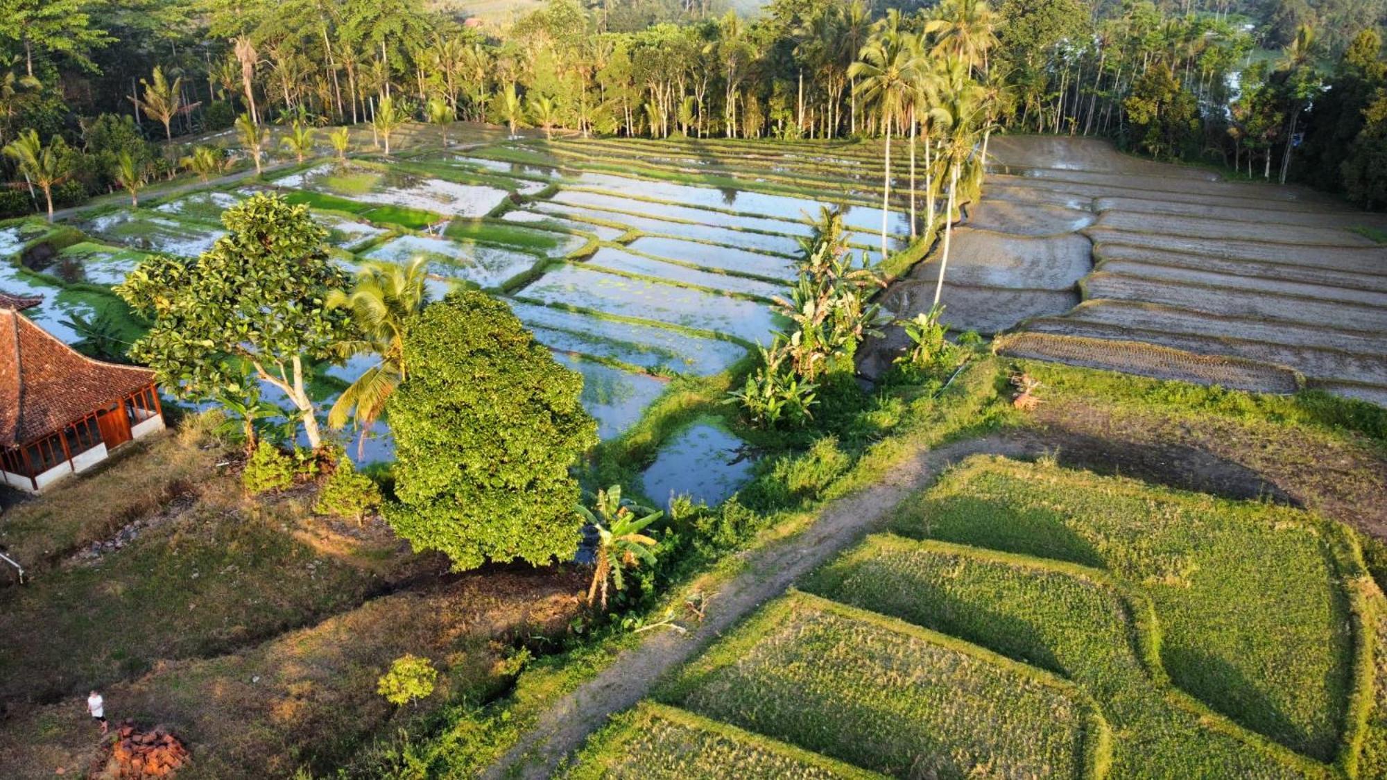 Villa Kampoeng Joglo Ijen Banyuwangi  Exterior foto